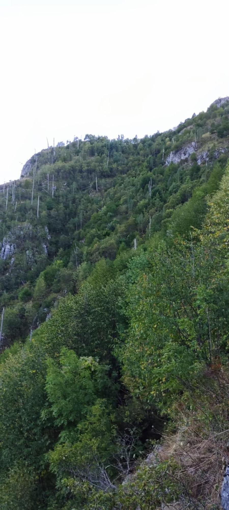 Weekend House In The Piva Nature Park بلوزين المظهر الخارجي الصورة