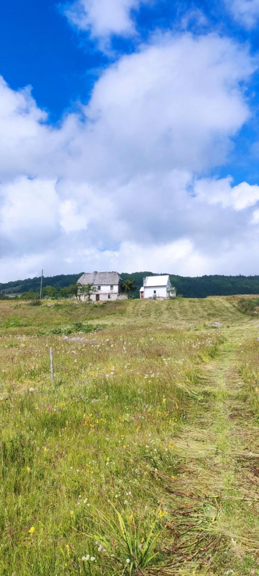 Weekend House In The Piva Nature Park بلوزين المظهر الخارجي الصورة