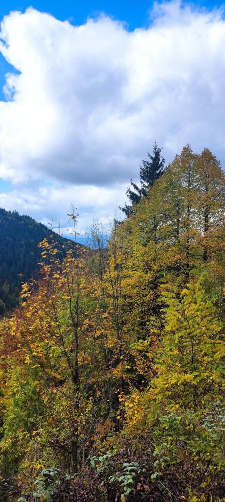 Weekend House In The Piva Nature Park بلوزين المظهر الخارجي الصورة